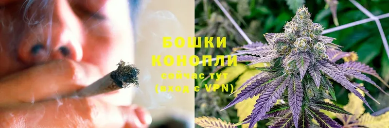 Бошки Шишки White Widow  цена   Новомосковск 